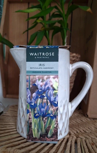 Waitrose pottery jug - pottery,