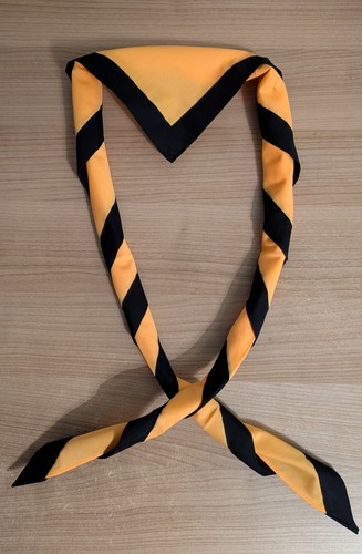 Scout youth necker scarf - youth,
