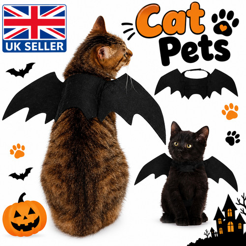 Pet cat dog bat wings - dog,