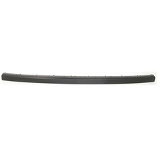 Bumper trim for 1995 - bumper,