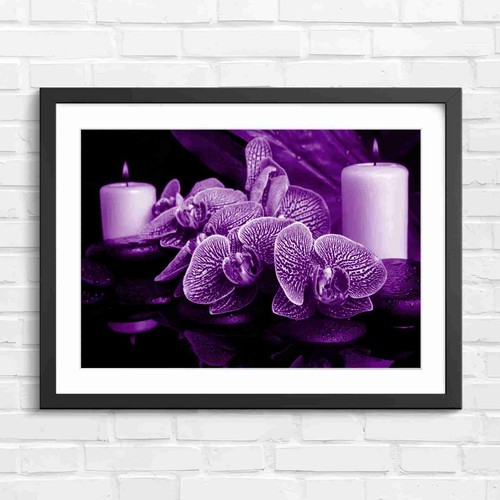 Pink orchid spa - orchid,