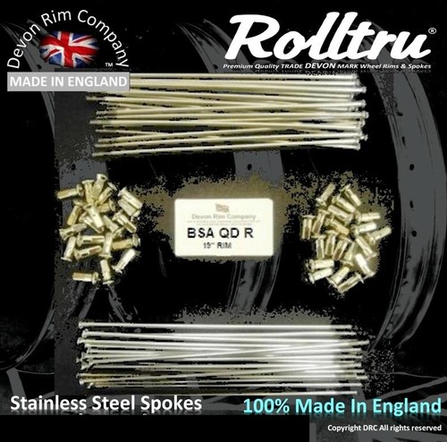 Bsa16 ssp stainless - spokes, 19"