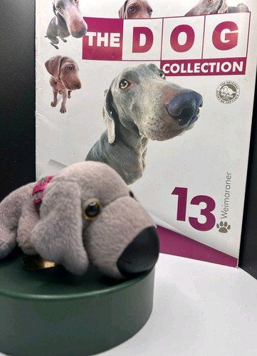 The dog collection - dog, 13