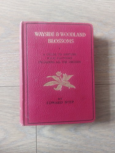Wayside woodland blossoms - wayside,