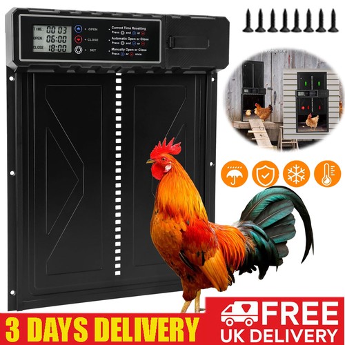 Automatic chicken coop door - chicken,