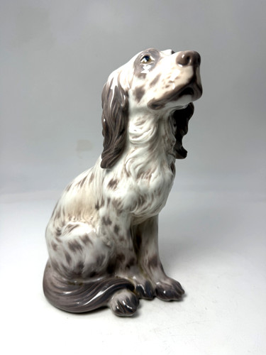 Irish setter 1186 - setter,