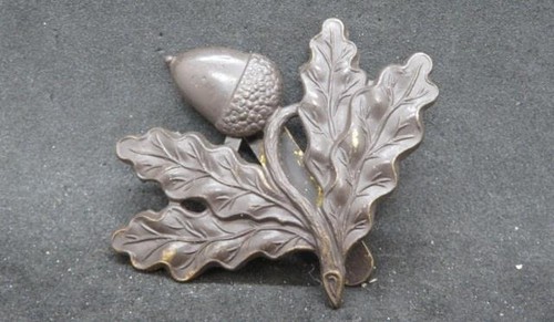 South nottinghamshire hussars - south,