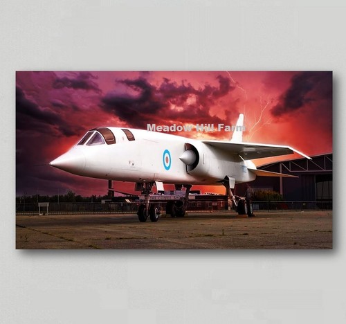 Fridge magnet bac tsr plane - fridge,