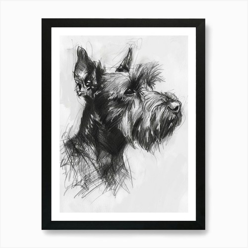 Cesky terrier dog charcoal - terrier,
