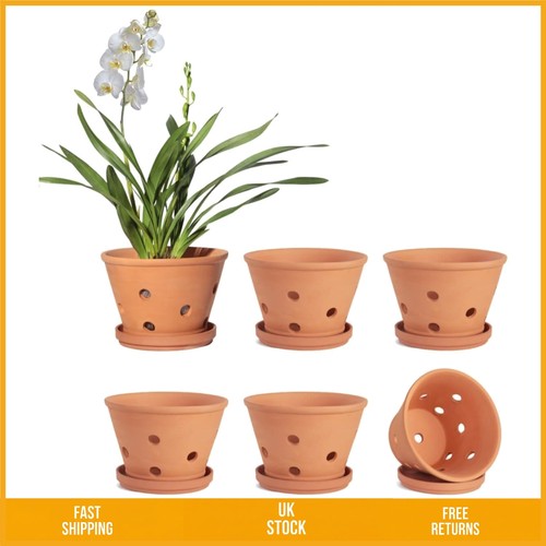 Terracotta orchid pots with - terracotta,
