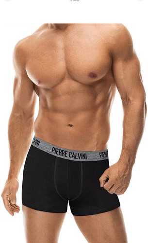 Pierre calvini mens - calvini,