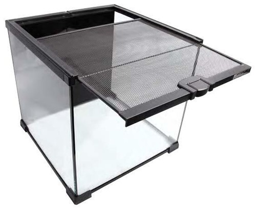 Reptile one mini - mini, t2