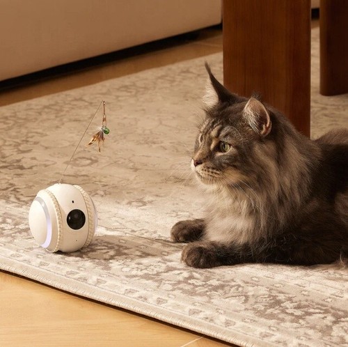 Wifi smart pet - monitor, robot