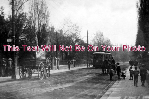 1948 the avenue - yo,