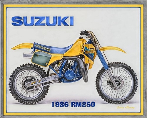 Suzuki 250 motocross metal - motocross,
