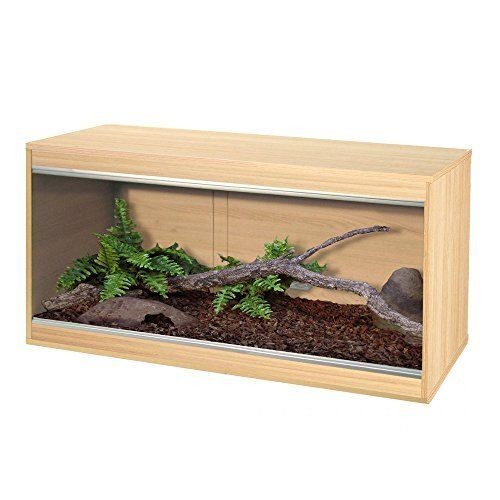 Vivexotic viva repti home - vivexotic,