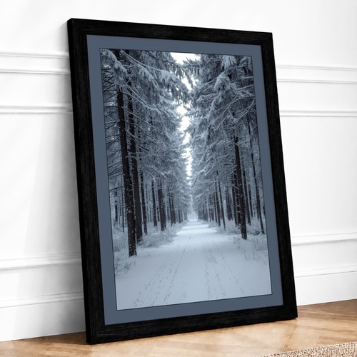 Snow lined forest path - snow-lined,