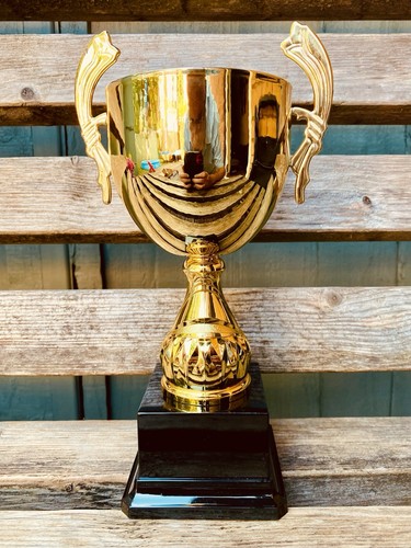 Gold trophy tall - 🏆,