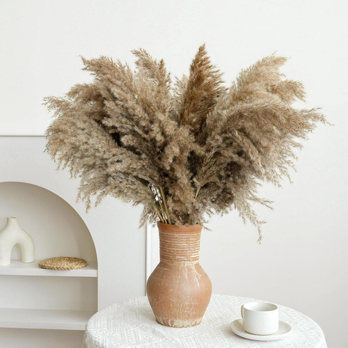 Inch tall nature pampas - nature,