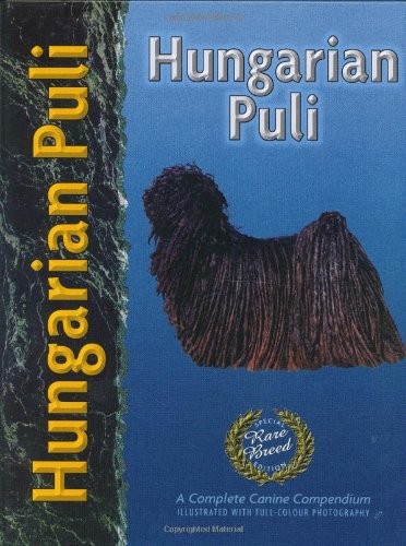 Hungarian puli pet love - puli, (pet