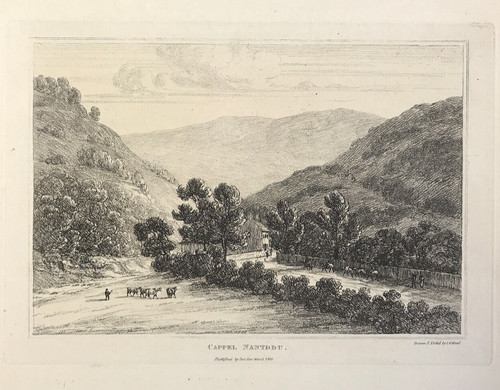 Brecon wales landscape capel - brecon,
