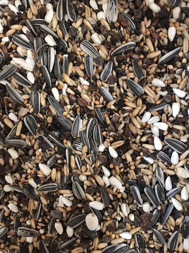 Green finch mix seed - ,, cage