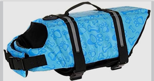 Blue dog life jacket vest - dog,