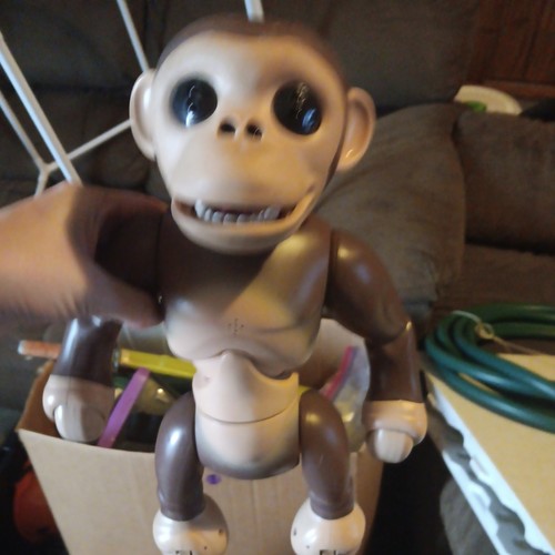 Speed master zoomer chimp