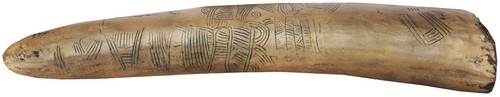 Mammoth tusk engraving - , map-