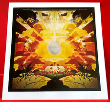 Hapshash And The Coloured Coat