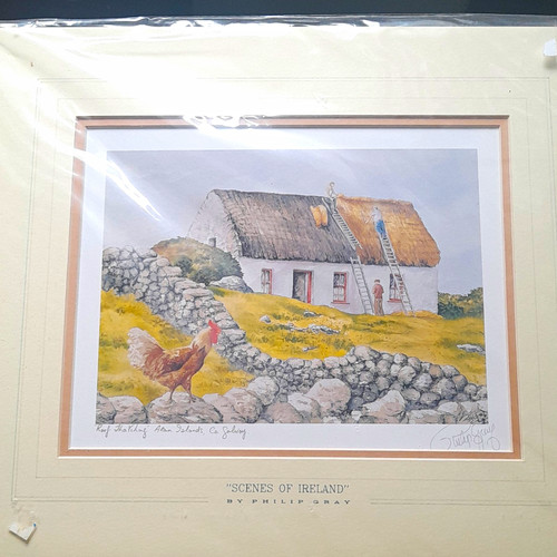 Philip gray thatching print - philip,