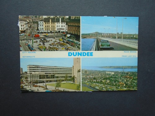 Angus multi views of - angus:,
