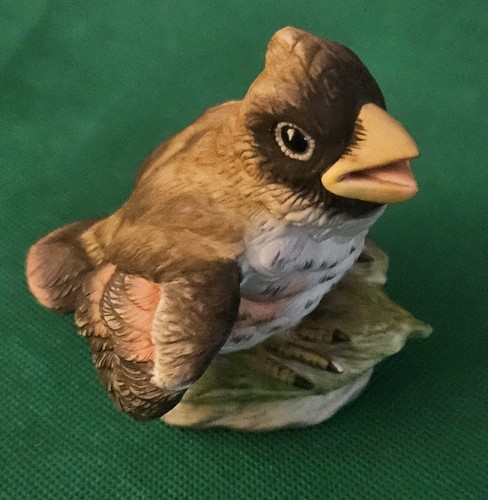 Boehm fledgling baby - fledgling, cardinal