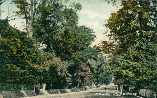 Postcard norwich ipswich road - ipswich,