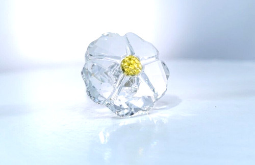 Boxed swarovski scs - 2017, wild