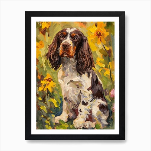 English springer spaniel - english,