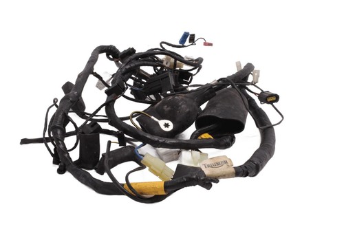 Wiring harness main cable