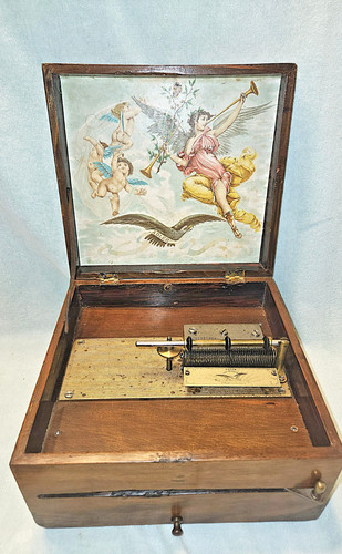 Reduced 1890 s - , adler
