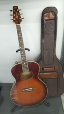 ARIA FE-70 Electric Acoustic