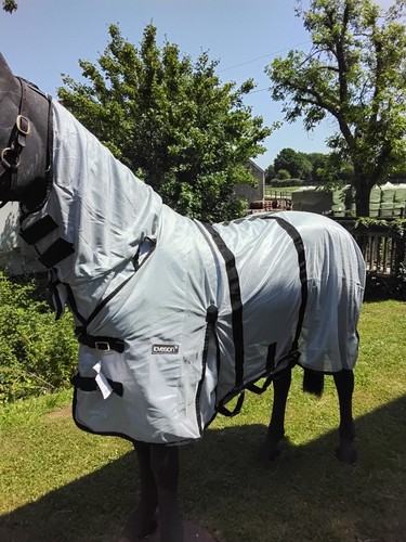 Loveson fly rug - rug, 3in