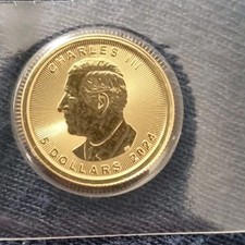 2024  1/10oz Canadian Maple Leaf Gold Coin 24k 3.1g