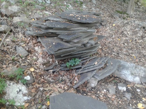 0808a garden landscaping slate - garden,