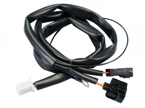 Polini wiring harness for ecu - polini,