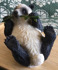 Gorgeous World Wildlife Panda
