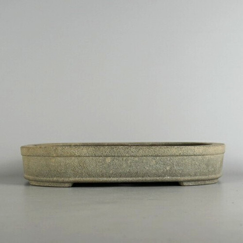 Bonsai tree pot - tree, tokoname