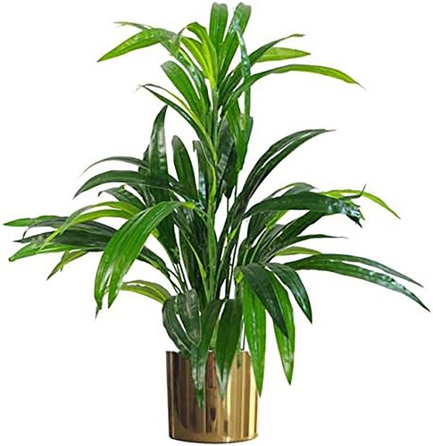 Artificial house plant pot - artificial,