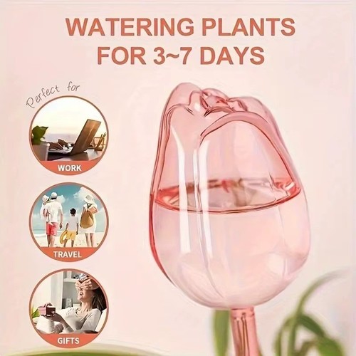 Pink tulip plant watering - plant,