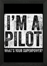 Pilot Aviator Aviation Vin