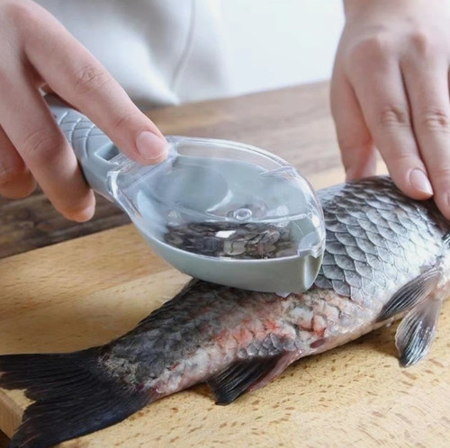 Fish descaler skin scale - fish,