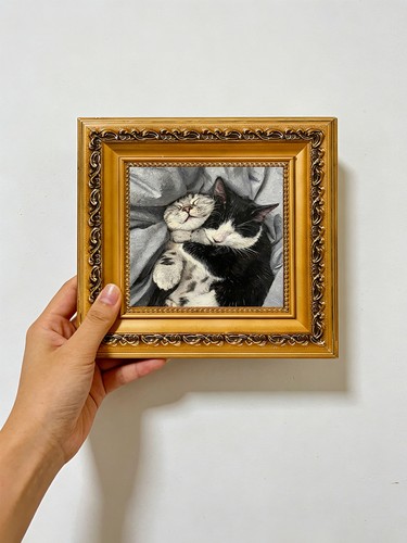 Sleeping tuxedo cat hugging - tuxedo,